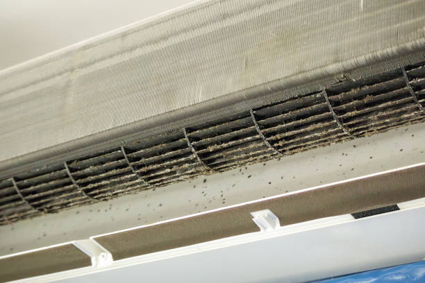 Best Duct Cleaning for Offices  in Cloverdale, VA